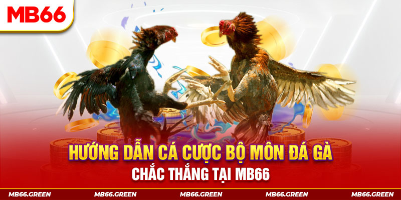 windy xổ số miền nam hôm nay