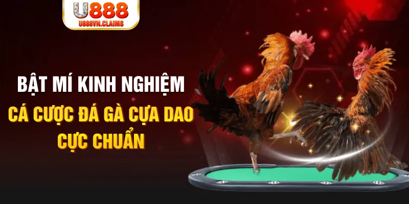 windy casino hồ tràm có cho người việt vào không