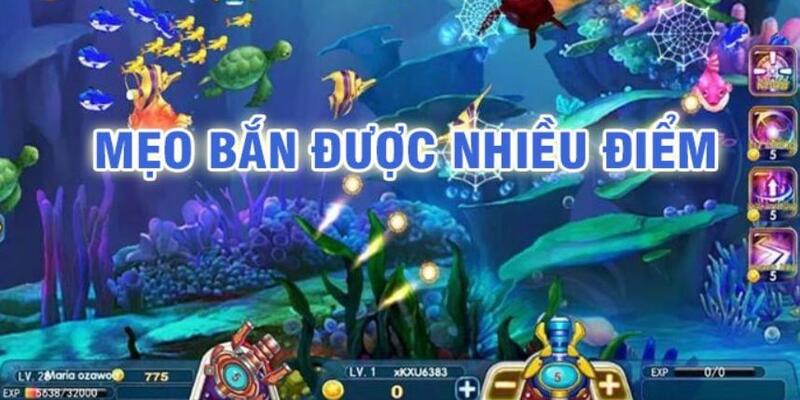 windy baccarat có lừa đảo không