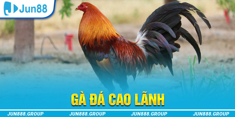 windy tai game vua bai ve may tinh
