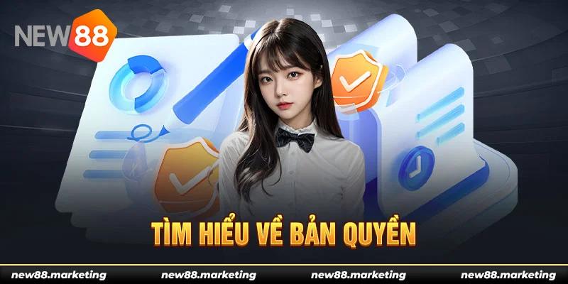 windy what is live dealer casino
