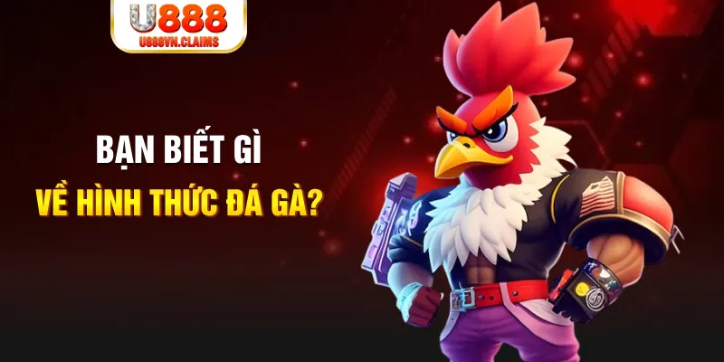 windy đăng nhập liêng tặng tiền