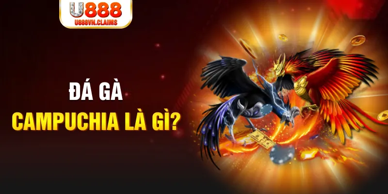 windy what is the best online casino for real money