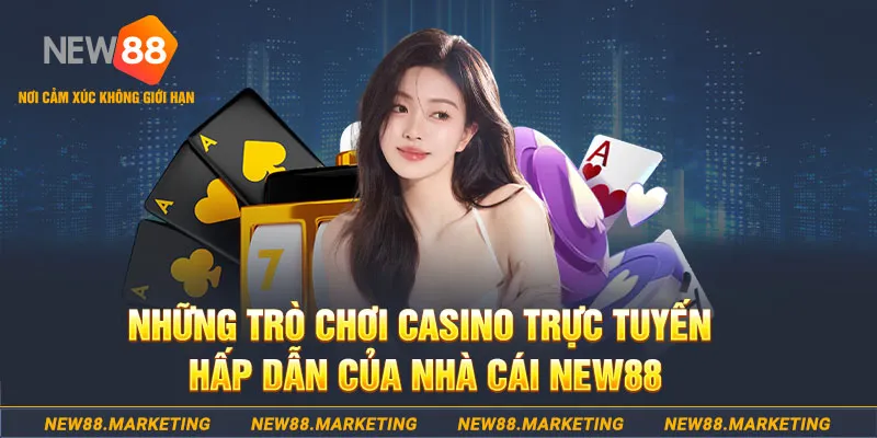 windy 68 game bài máy chủ ở đâu