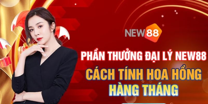 windy đá gà trực tiếp casino