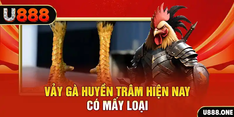 windy đăng nhập nổ hũ miễn phí