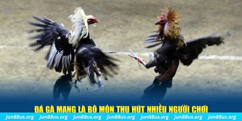 windy đăng nhập sòng bạc số 1