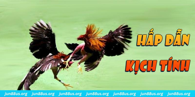 windy xổ số miền nam thứ sáu