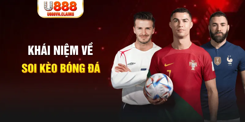 windy bắn cá online