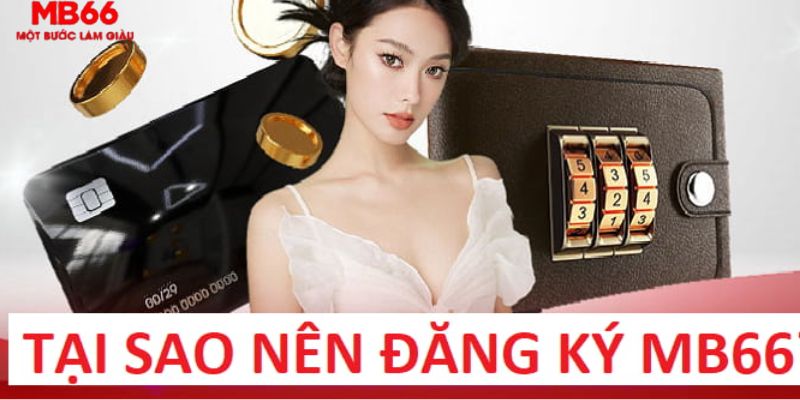 windy nỗ hủ là gì