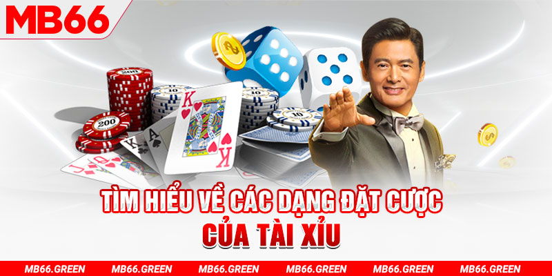 windy what is a casino loyalty program