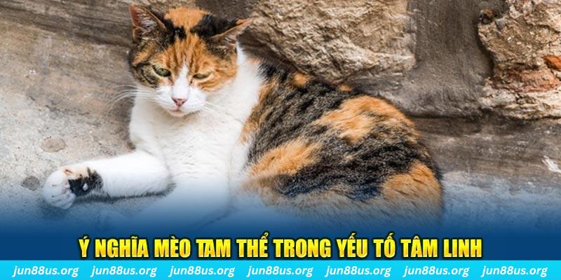 windy máy slot game là loại trò chơi gì？