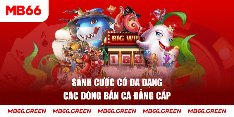 windy xổ số đại phát