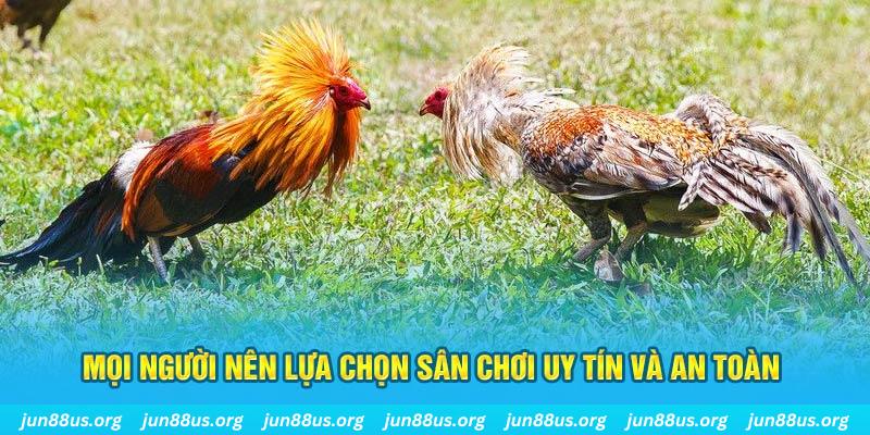 windy đăng nhập poker 2025