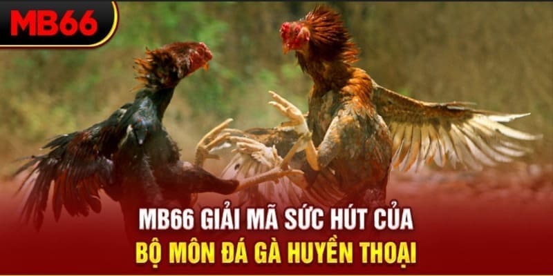 windy xổ số đài bắc