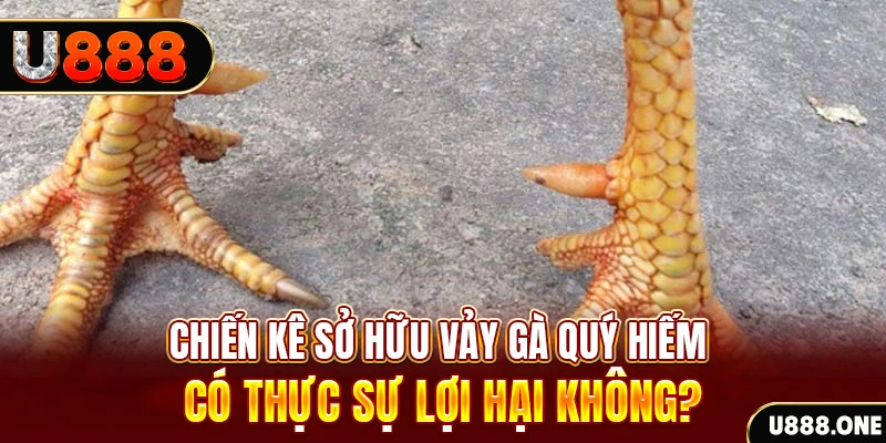 windy xổ số miền trung