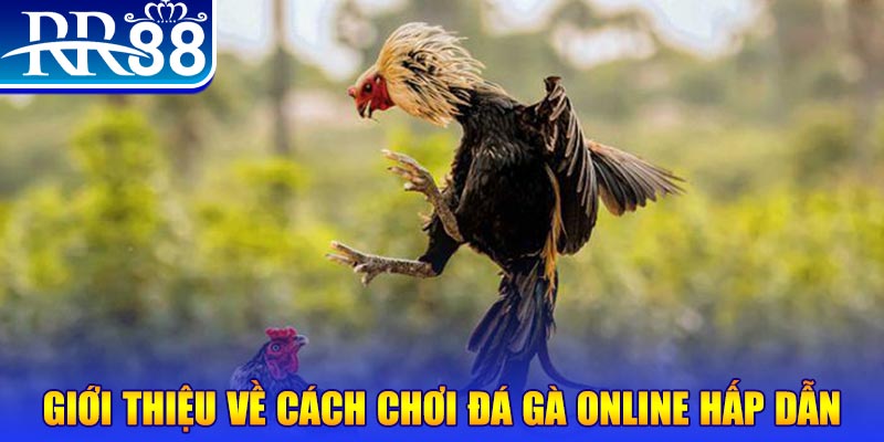 windy EvoPlay Điện Tử