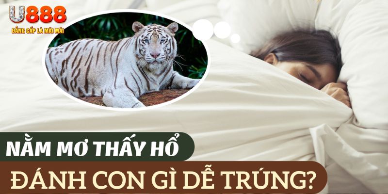 windy nohu .mx nổ hủ là gì