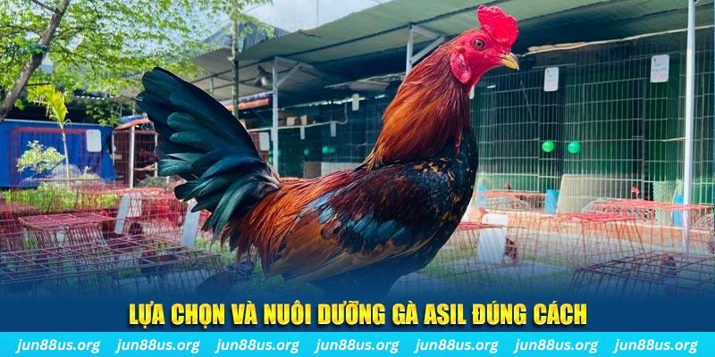 windy nổ hũ thần tài là gì