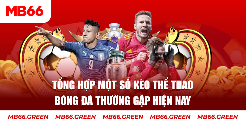 windy TP Xổ Số