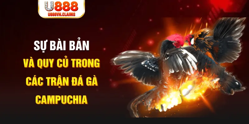 windy game xếp bài trên máy tính
