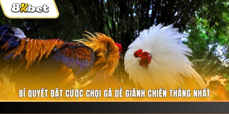 nổ hũ chơi như thế nào