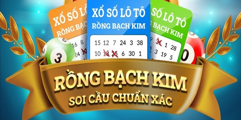 windy NE Điện Tử