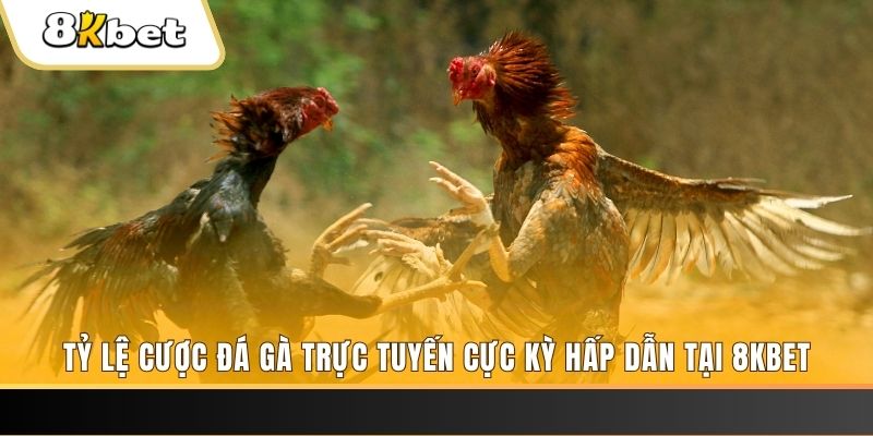 windy xổ số miền bắc chủ nhật