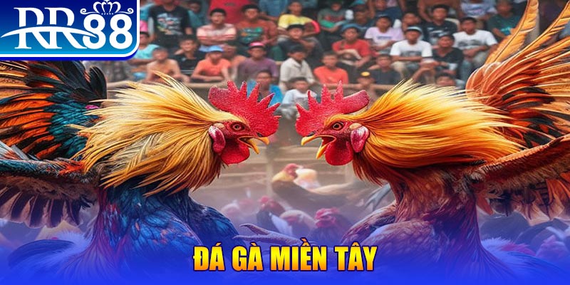 windy đăng nhập liêng đổi thưởng