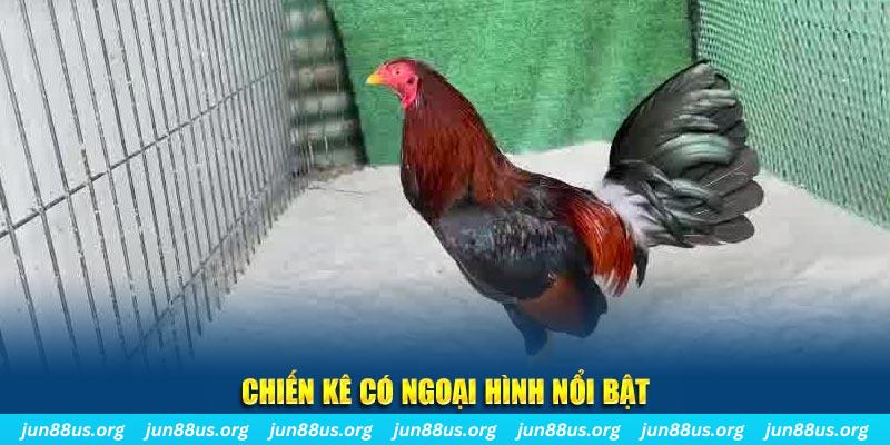 windy qq88 bắn cá