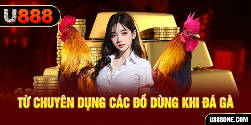 windy xổ số hồ chí minh