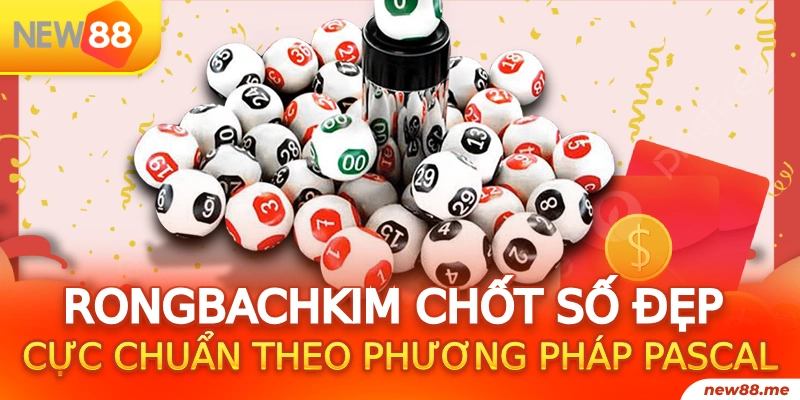 windy đăng nhập phỏm 2024